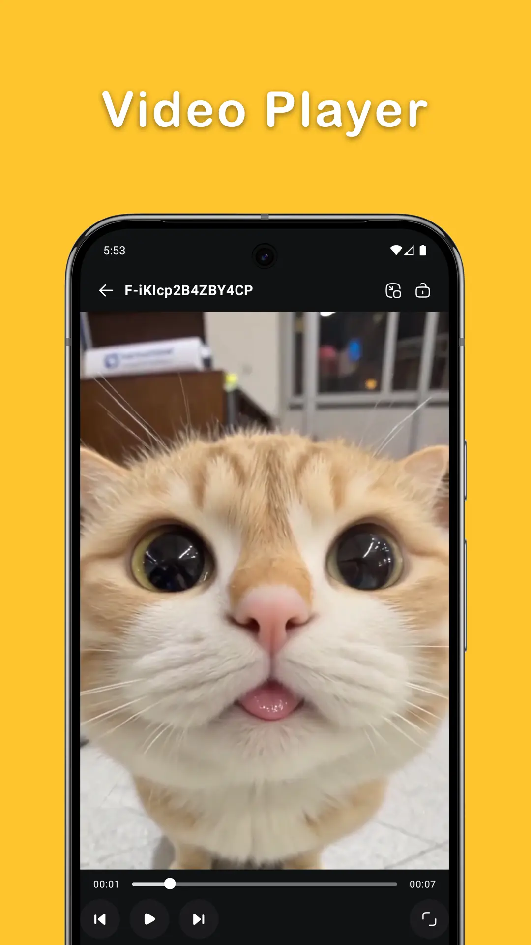 内置视频播放器界面截图：全屏播放一只浅橙色猫咪特写镜头，背景模糊，界面底部显示播放进度00:01/00:07，界面干净无冗余控件。